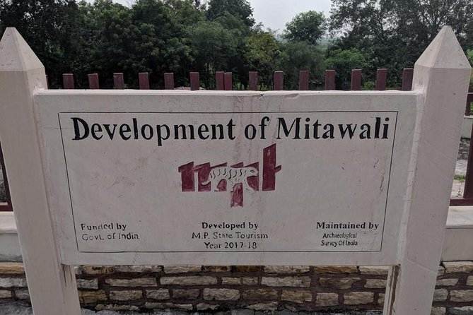 Mitawali, Padavali & Bateshwar Tour - What to Expect