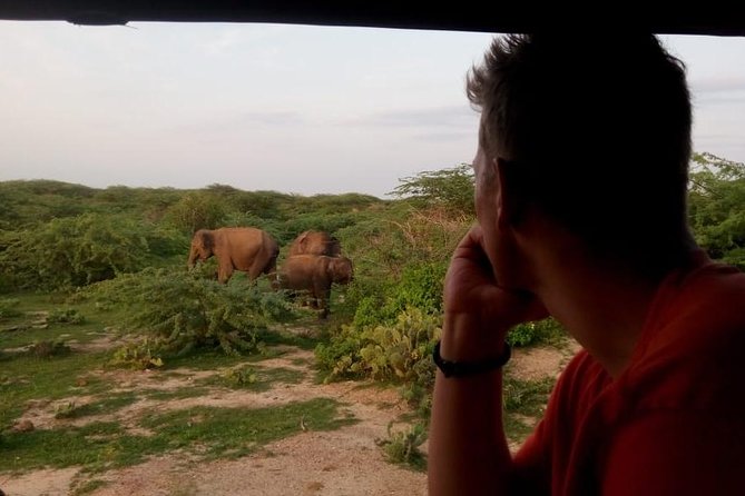 Morning Private Safari at Bundala Park by Yala La Safari Tours - Meeting and Pickup Details