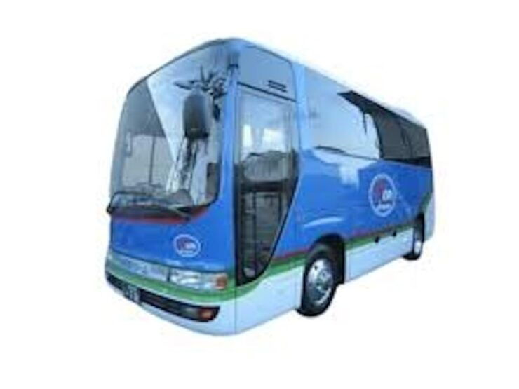 Mt.Fuji Tour, Tokyo / Yokohama ⇒ Tokyo, 2-4 Guests - Customization and Flexibility