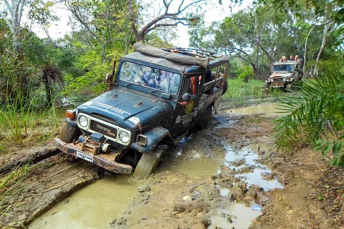 Mud Safari From Habarana - Meeting and Pickup Details