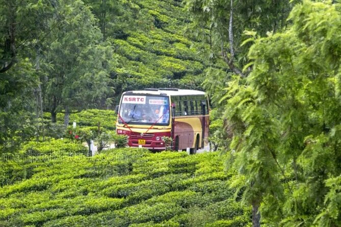 Munnar Day Return Excursion Ex Kochi Covering All Essentials - Inclusions and Exclusions