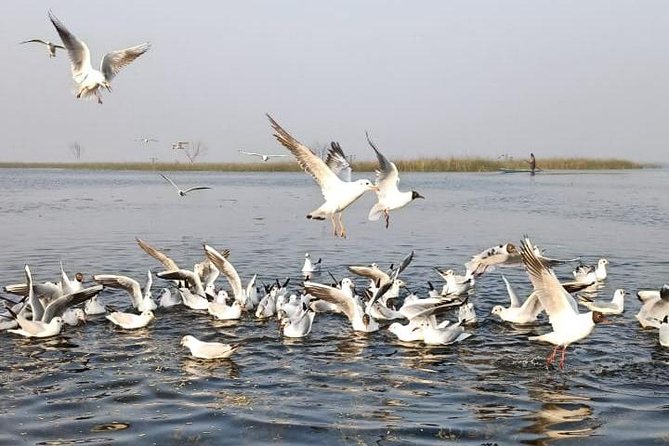 Nal Sarovar Bird Sanctuary & Lothal Day Tour From Ahmedabad - Itinerary Overview