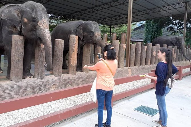 National Elephant Conservation Centre With Batu Caves Visit (Private) - Inclusions and Exclusions