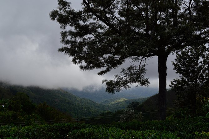 Nature Trekking Tour in Ella - Directions and Pickup