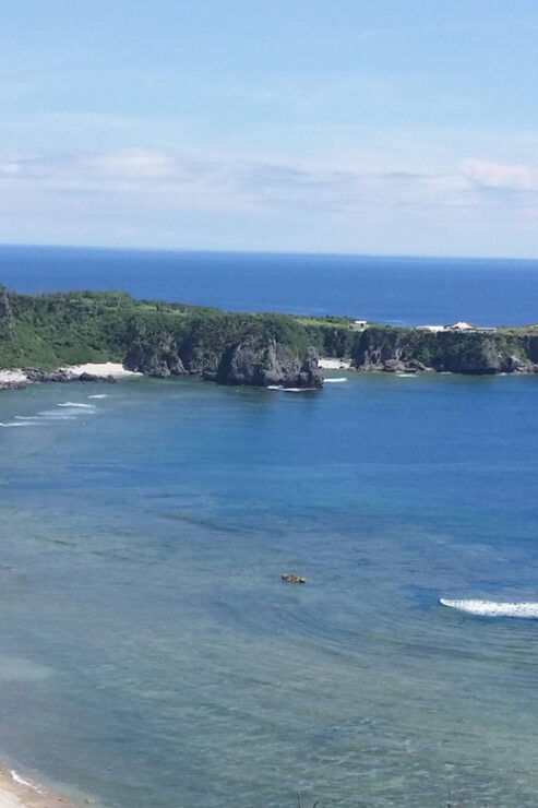 Northern Okinawa National Park Enjoyment Course【C-course】 - Itinerary Highlights