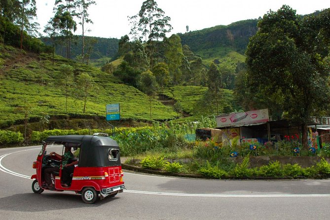 Nuwara Eliya Tuk Tuk Adventure - Itinerary Overview