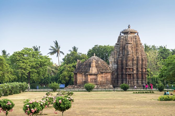 Odisha Tribal Tour - Explore Weekly Tribal Marketplaces & Temples - Tribal Market Exploration
