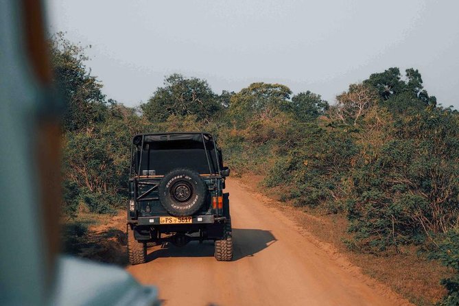 Off Road Adventure in Yala With Lunch From Hambantota Harbor - Exclusions