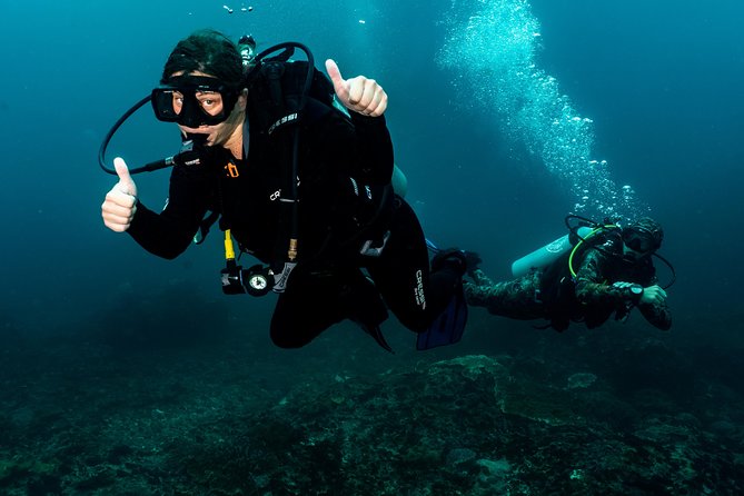 Open Water + Advanced Course - Premium Certifications Package in Pemuteran, Bali - Meeting and Pickup Details