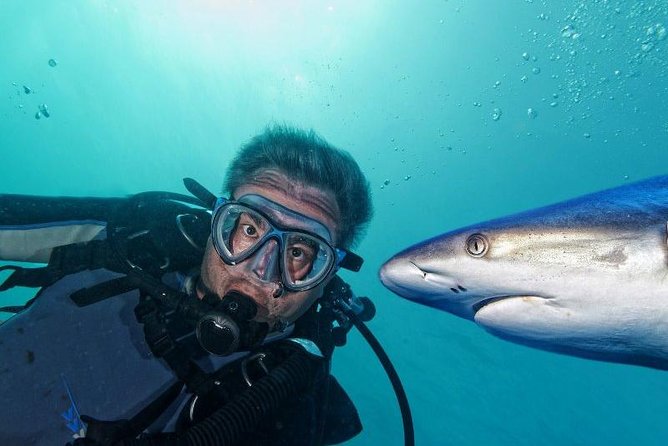 PATTAYA: Join Tour Under Water World Pattaya - Inclusions