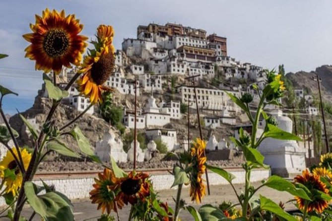 Private Custom Tour: Leh Local Sightseeing With Guide - Historical Insights