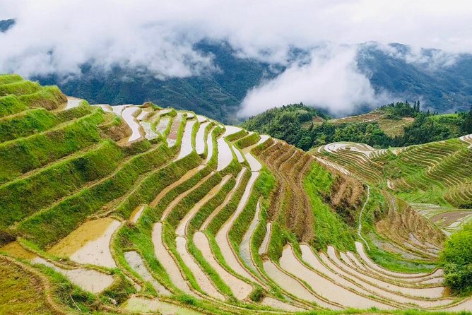 Private Day Tour to Longji Rice Terraces From Yangshuo - Start Time and Expectations