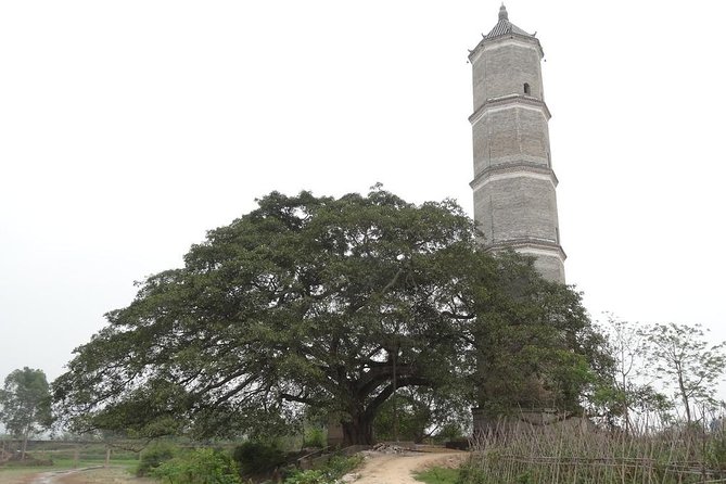 Private Day Tour to Yinshan Pagoda Forest From Beijing With Lunch - What to Expect
