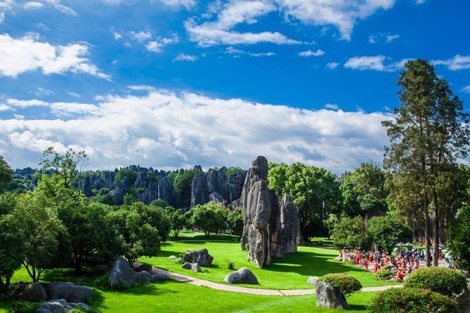 Private Full-Day Tour From Kunming: Stone Forest and Golden Temple - Itinerary Overview