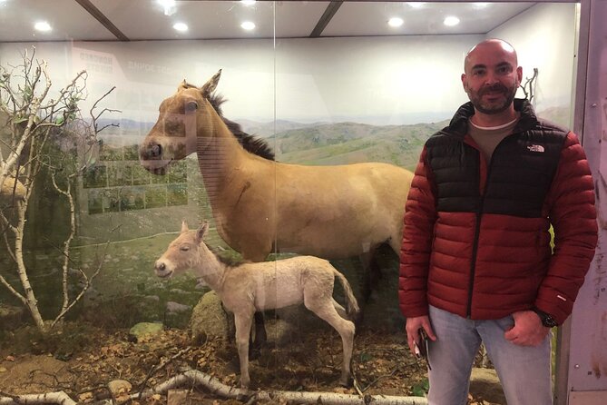 Private Full Day Tour in Khustain Nuruu National Park - Pickup and Transportation
