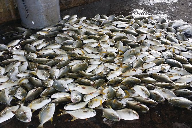Private Guided Tour Explore Fish Market Included Breakfast By Pedicab (Rickshaw) - Booking Details