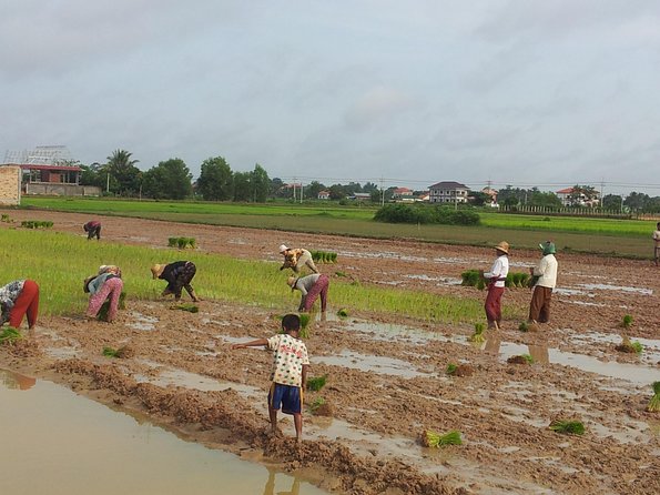 Private Half Day to Banteay Ampil & Countryside by Jeep - Additional Info