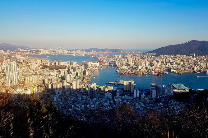 PRIVATE MORNING HIKING TO SEE THE SPECTACULAR BUSAN CITY VIEW (326m / 1,070ft) - Pickup Points and Meeting Point