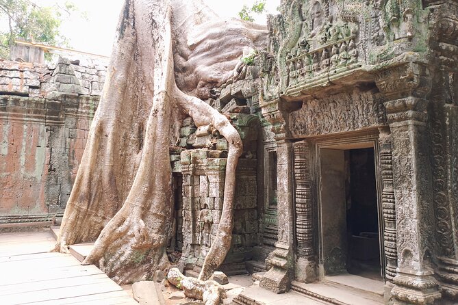 Private One Day Trip to Explore Angkor Temples - Requirements & Recommendations