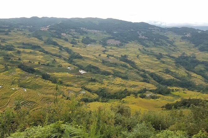 Private Overnight Tour to Yuanyang Rice Terraces From Kunming - What To Expect