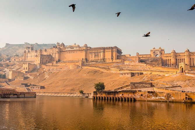 Private Tour : 4 Days Jaipur ,Ranthambore Tigers & Agra Taj Mahal Tour - Accommodation Details