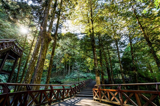 Private Tour Alishan Culture and Ecology From Kaohsiung - Additional Info