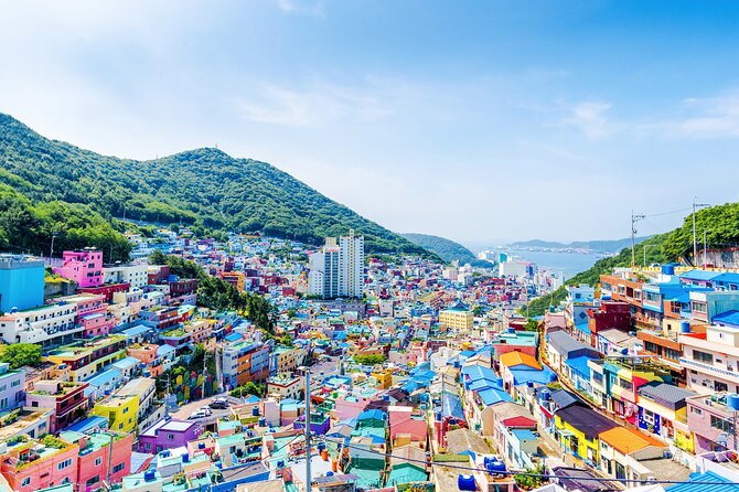 Private Tour Best of Busan Full Day - Inclusions
