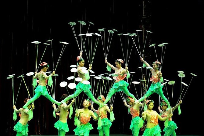 Private Tour: China Acrobatics Show and Shanghai Evening Tour - Pickup Points and Options