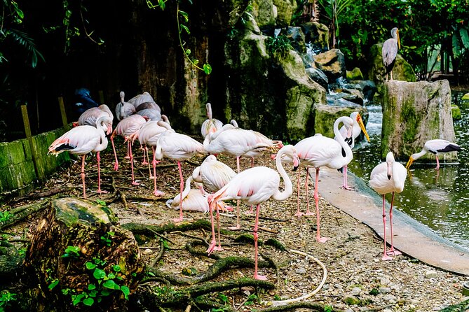 Private Tour to Kuala Lumpur Nature and Garden Iconic Locations - Inclusions and Amenities