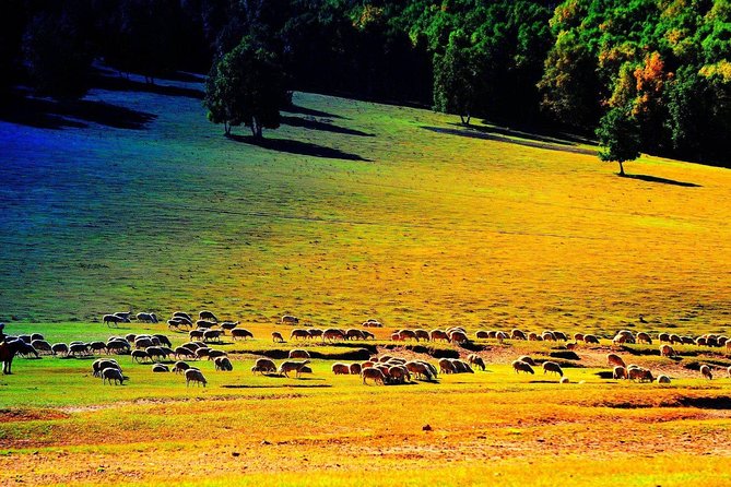 Private Transfer Service: 2-Day Wulan Butong Grassland From Beijing - Inclusions