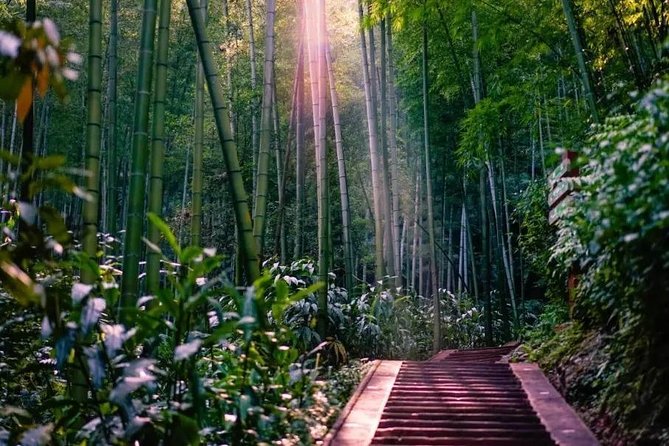 Private Two-Day Shunan Bamboo Forest With Farmhouse Stay - Location Details