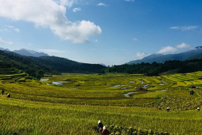 Pu Luong Offbeat Trekking Tour 2 Days 1 Night From Hanoi - Tour Highlights