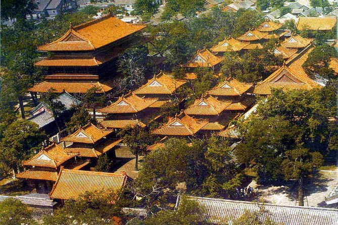 Qufu Private Walking Tour: Confucius Temple, Family Mansion and Cemetery With Lunch - Private Guide Insights