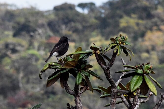 Railroad Hike to Horton Plains Borders - Support Staff and Safety Measures