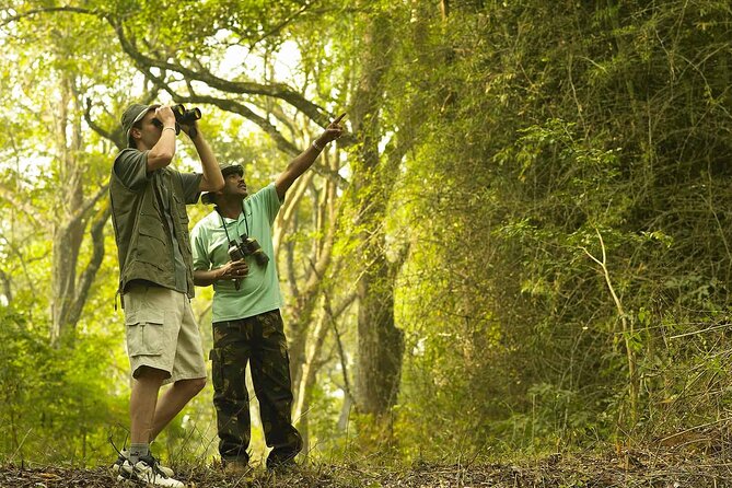 Rainforest Explorer From Bentota (2 Days) - Tour Requirements