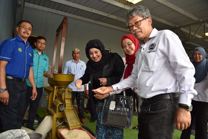 Real Experience of Being a Farmer in the Paddy - Hands-On Rice Planting