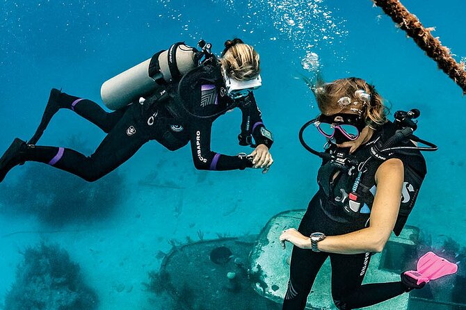 Redang Island Scuba Diving for Beginners - Pickup and Start Time