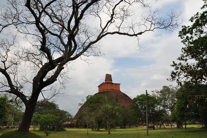 Sacred City of Anuradhapura From Negombo - Additional Info