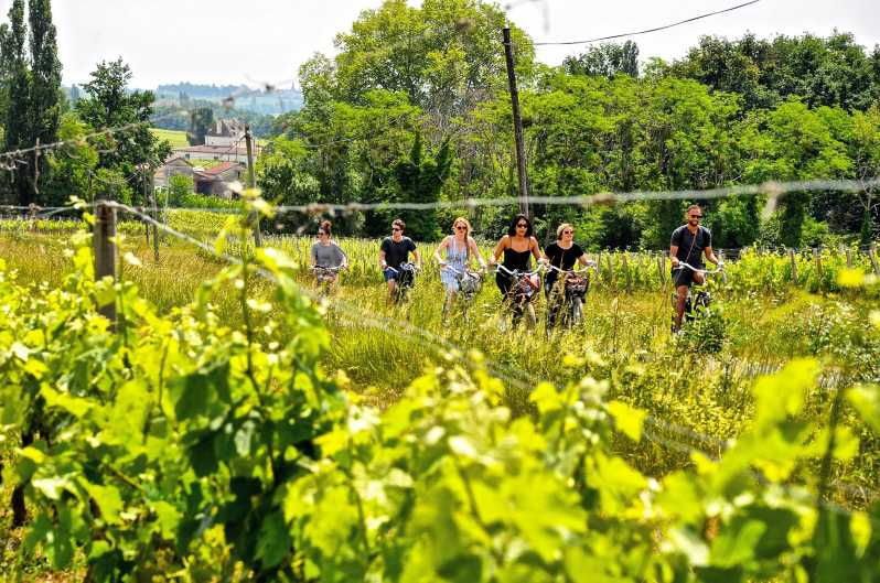 Saint-Émilion E-Bike Tour: Lunch, 2 Tastings & Transfers