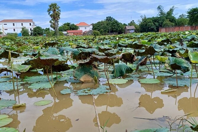 Siem Reap Sightseeing Tour - Inclusions and Exclusions