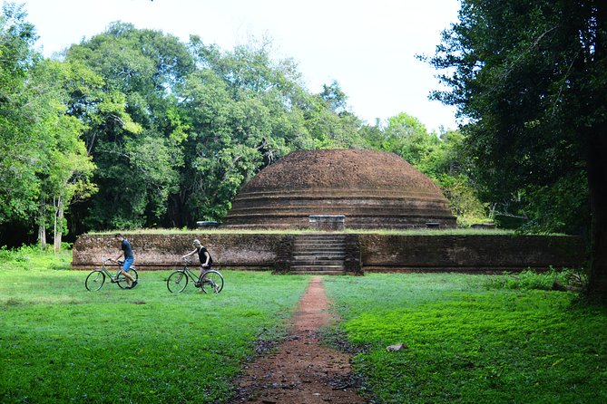 Sigiriya Cycle Tour: Explore Village Life in Sigiriya & Enjoy a Village Lunch - Village Lunch Experience