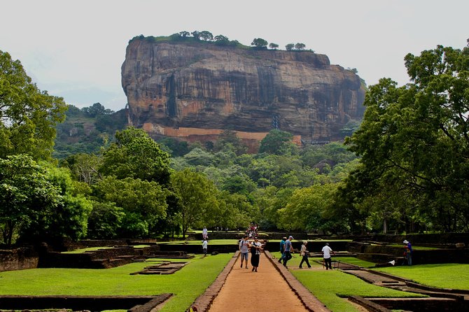 Sigiriya Rock Fortress and Dambulla All Inclusive Tour From Kandy - Itinerary Highlights