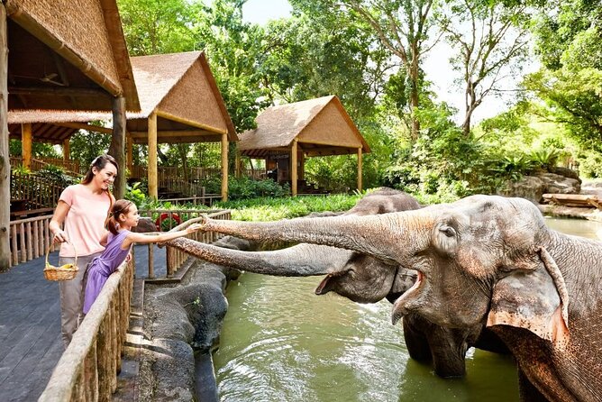Singapore Zoo - Ticket Details