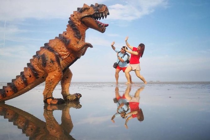 Sky Mirror Tour At Kuala Selangor - Important Details and Restrictions