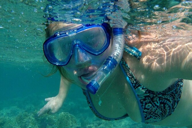 Snorkeling And Beach Barbecue In Goa - What to Know Before You Go