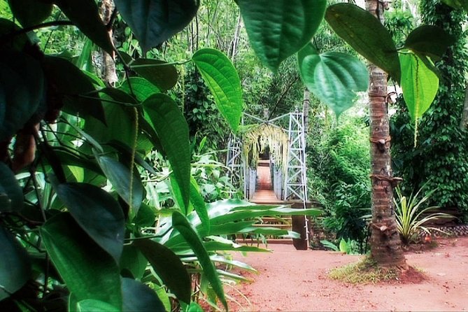 Spice Garden Visit and Cookery Demonstration From Pinnawala - Meeting Point Details
