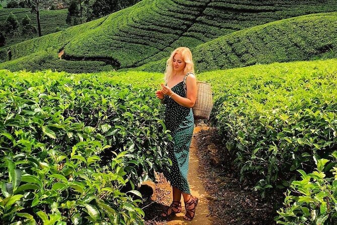 Sri Lanka 7 Day'S Budget Tour Package - Accommodation Details