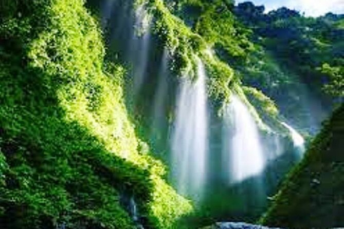Surabaya-Bromo-Ijen Blue Fire-Bali, All Entrance Included - Included Services