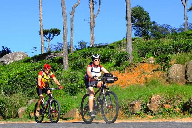 Tea Fields by Bicycle From Kandy - Meeting Point