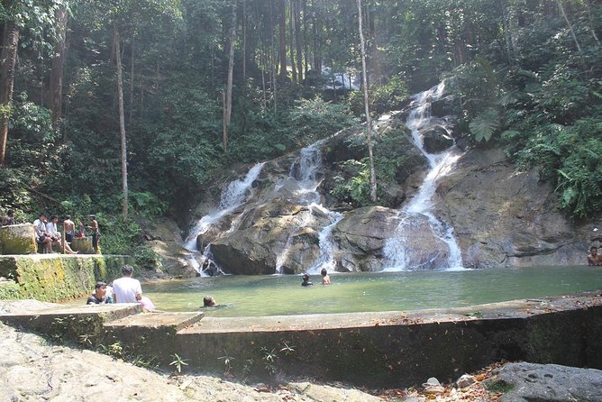 Templer Park Tour - a Rendezvous With Nature - Meeting and Pickup Details